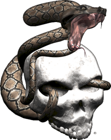 Extreme_Skull Snake_Srike_4 gray_brown.gif