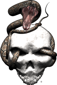 Extreme_Skull Snake_Strike_1 gray_brown.gif