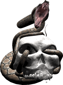 Extreme_Skull Snake_Strike_2 gray_brown.gif