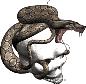 Extreme_Skull Snake_Strike_3 gray_brown.gif