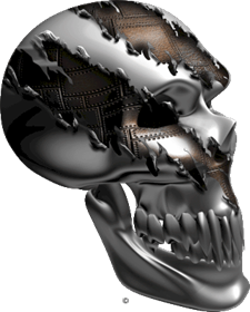 Extreme_Skull Angle_Metal Silver_brown.gif