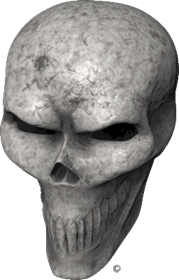 Extreme_Skull Bone_Skull_Angle_1 gray.gif