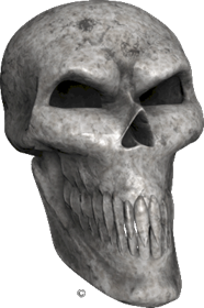 Extreme_Skull Bone_Skull_Angle_2 Gray.gif