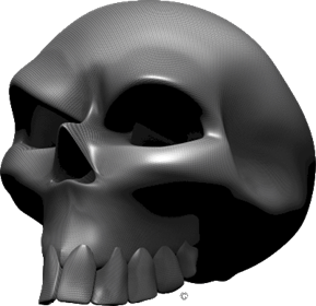 Extreme_Skull Carbon_Fiber_Skull_Angle_3 as_