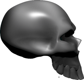 Extreme_Skull Carbon_Fiber_Skull_Side as_ima