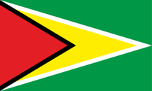 Flagga Guyana