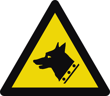 40436_view.png