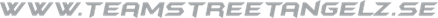 Logo Team Streetangelz